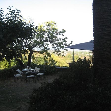 B&B Villa Panicucci Livorno Ngoại thất bức ảnh