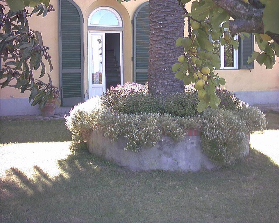 B&B Villa Panicucci Livorno Phòng bức ảnh