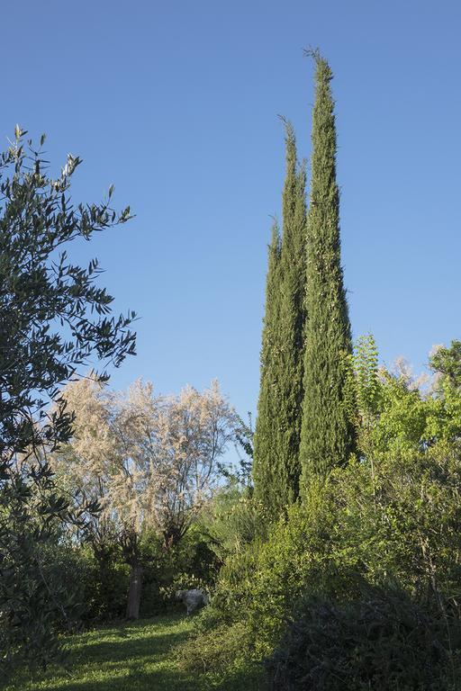 B&B Villa Panicucci Livorno Ngoại thất bức ảnh